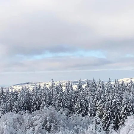 Appartement Sonnenschein