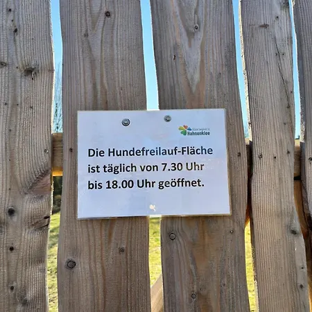 Sonnenschein Goslar
