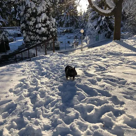 Appartement Sonnenschein