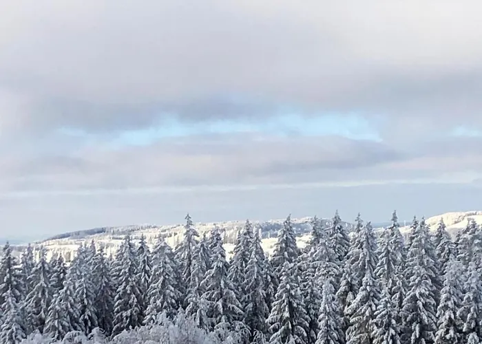 Appartement Sonnenschein