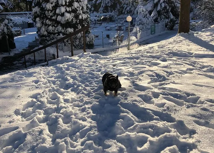 Appartement Sonnenschein
