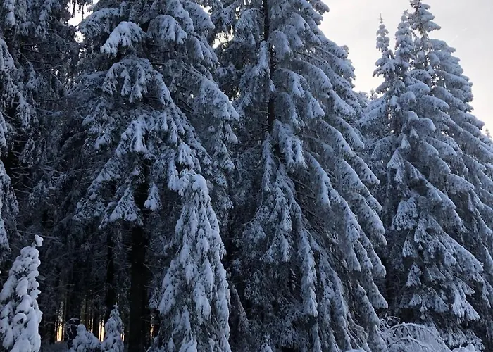 Sonnenschein Appartement *